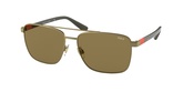 POLO PH3137